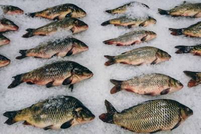Китай приостановил ввоз рыбной продукции из РФ из-за COVID-19 - mk.ru - Россия - Китай