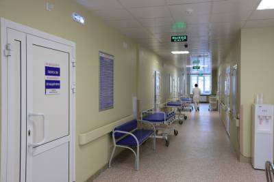 На Южном Урале умерли 15 пациентов с коронавирусной инфекцией - chel.mk.ru