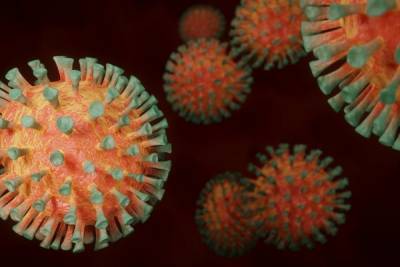 ВОЗ: Доказательств более высокой смертности от мутации вируса пока нет - mknews.de - Англия - Германия