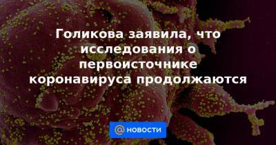 Татьяна Голикова - Голикова заявила, что исследования о первоисточнике коронавируса продолжаются - news.mail.ru - Россия - Москва