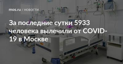 За последние сутки 5933 человека вылечили от COVID-19 в Москве - mos.ru - Москва