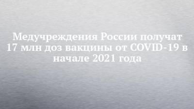 Татьяна Голикова - Медучреждения России получат 17 млн доз вакцины от COVID-19 в начале 2021 года - chelny-izvest.ru - Россия