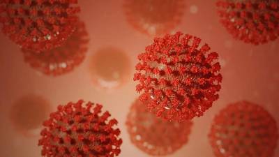 У человеческого организма обнаружили память на коронавирусы - neva.today - штат Аризона