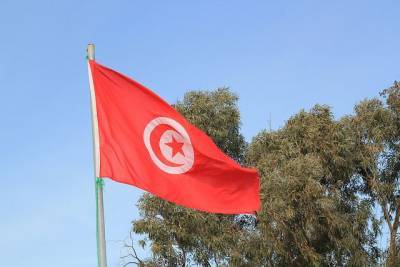В Тунисе снова введут комендантский час из-за коронавируса - aif.ru - Тунис - Тунисская Республика