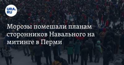 Алексей Навальный - Морозы помешали планам сторонников Навального на митинге в Перми - ura.news - Пермь