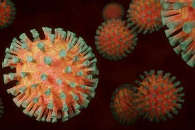 Коронавирусом за пандемию заразились почти 33 тысячи забайкальцев - mk.ru