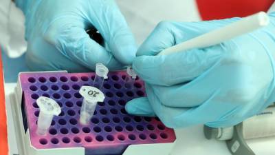 В России за сутки выявили 21 127 случаев коронавируса - iz.ru - Россия