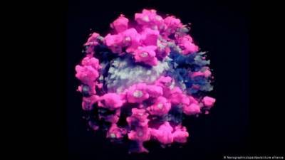 Ученые создали первую реальную 3D-модель коронавируса - enovosty.com - Китай - Вена - Австрия