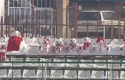 Снеговики украсили футбольный матч в Румынии - ont.by - Румыния