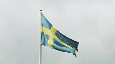 Микаэль Дамберг - Швеция запретила въезд из Норвегии из-за коронавируса - mir24.tv - Англия - Норвегия - Швеция - Дания
