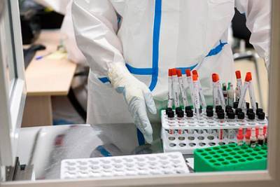 В России выявили 19 290 новых случаев заражения коронавирусом - lenta.ru - Россия