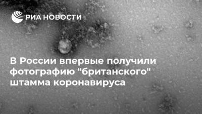 В России впервые получили фотографию "британского" штамма коронавируса - ria.ru - Россия - Москва - Новосибирск