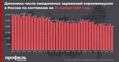 В России выявили минимум по числу новых случаев COVID-19 с 3 ноября - profile.ru - Россия