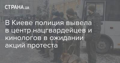 В Киеве полиция вывела в центр нацгвардейцев и кинологов в ожидании акций протеста - strana.ua - Украина - Киев