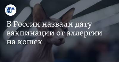 Петр Глыбочко - В России назвали дату вакцинации от аллергии на кошек - ura.news - Россия