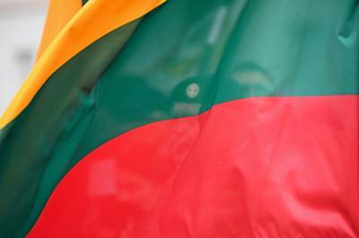 Живиле Симонайтите - В Литве предлагают продлить карантин до 28 февраля - pnp.ru - Литва