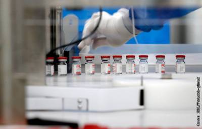 Турецкая компания готова производить миллионы доз вакцины "Спутник V" - interfax.ru - Россия - Москва - Турция