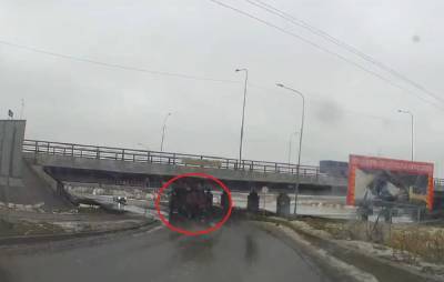 «Мост глупости» на Софийской улице собрал 202-го водителя - abnews.ru