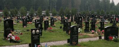 В Новосибирской области в 2020 году смертность выросла на 19% - runews24.ru - Новосибирская обл.