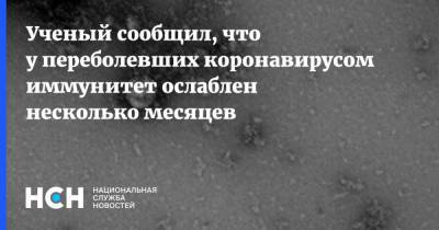 Арег Тотолян - Ученый сообщил, что у переболевших коронавирусом иммунитет ослаблен несколько месяцев - nsn.fm - Россия
