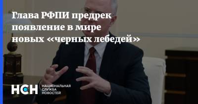 Кирилл Дмитриев - Глава РФПИ предрек появление в мире новых «черных лебедей» - nsn.fm - Россия