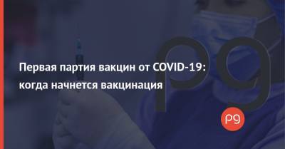 Денис Шмыгаль - Первая партия вакцин от COVID-19: когда начнется вакцинация - thepage.ua - Украина