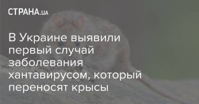 Наталия Тимко - В Украине выявили первый случай заболевания хантавирусом, который переносят крысы - strana.ua - Украина - Киев