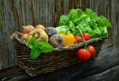 Медики рассказали о пользе употребления зелёных овощей для иммунитета человека - actualnews.org