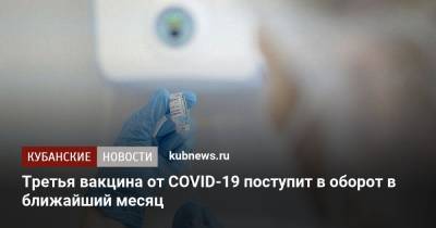 Михаил Мишустин - Третья вакцина от COVID-19 поступит в оборот в ближайший месяц - kubnews.ru - Россия