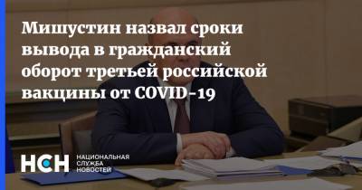Михаил Мишустин - Мишустин назвал сроки вывода в гражданский оборот третьей российской вакцины от COVID-19 - nsn.fm - Россия