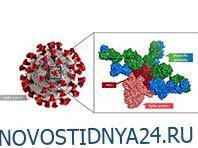 Ученые делают ставку на новые искусственные антитела - novostidnya24.ru - Швейцария