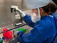 Британия готовится тестировать препарат против паразитов как спасение от COVID-19 - novostidnya24.ru - Англия