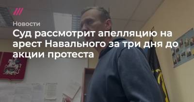 Алексей Навальный - Суд рассмотрит апелляцию на арест Навального за три дня до акции протеста - tvrain.ru - Россия - Германия