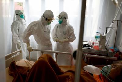 Жирные кислоты предотвратили смерть от коронавируса - lenta.ru - Сша