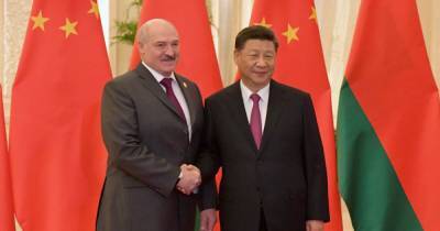 Александр Лукашенко - Си Цзиньпин - Вакцину от коронавируса Беларусь получит от Китая – официально - focus.ua - Белоруссия - Китай