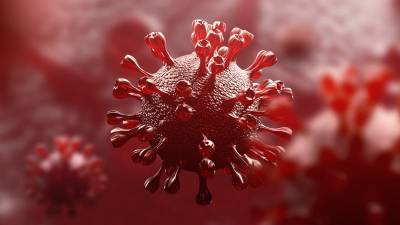 В США впервые обнаружена бразильская мутация коронавируса и мира - cursorinfo.co.il - Сша - New York - Бразилия - штат Миннесота