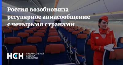 Россия возобновила регулярное авиасообщение с четырьмя странами - nsn.fm - Россия - Санкт-Петербург - Москва - Финляндия - Хельсинки - Индия - Катар - Вьетнам - Дели