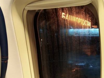 В Минздраве Башкирии рассказали, опасно ли летать на самолёте во время пандемии - ufatime.ru - республика Башкирия