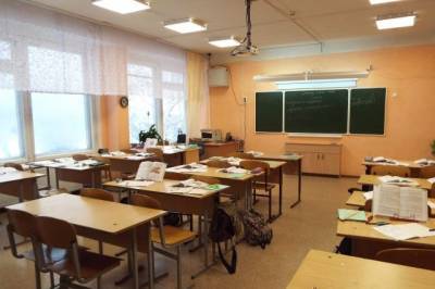 В Хабаровске на карантин закрыты 4 класса и 8 детских групп - hab.aif.ru - Хабаровск