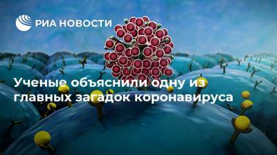 Ученые объяснили одну из главных загадок коронавируса - ria.ru - Москва - Сша