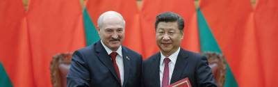 Александр Лукашенко - Си Цзиньпин - Китай подтвердил готовность поставить в Белоруссию вакцину от COVID-19 - runews24.ru - Белоруссия - Китай - Минск