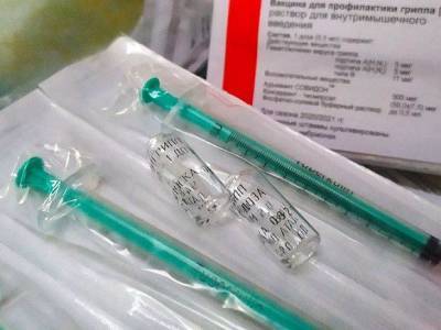 В Ленобласти закончилась вакцина от COVID-19 - rosbalt.ru - Россия - Ленобласть обл.