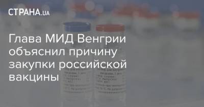 Глава МИД Венгрии объяснил причину закупки российской вакцины - strana.ua - Украина - Киев - Евросоюз - Венгрия