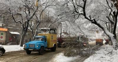 Ухудшение погоды: Минобразования рекомендует учебным заведениям семи областей готовиться к дистанционке - tsn.ua - Украина