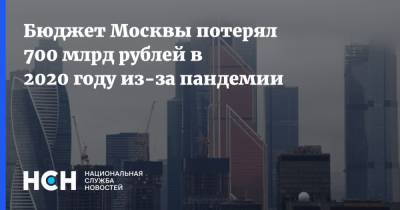 Владимир Ефимов - Бюджет Москвы потерял 700 млрд рублей в 2020 году из-за пандемии - nsn.fm - Москва