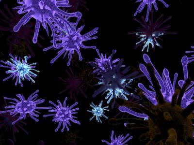 ВОЗ: Мир может охватить новая пандемия из-за вируса Nipah - rosbalt.ru - Малайзия