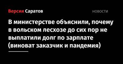 В министерстве объяснили, почему в вольском лесхозе до сих пор не выплатили долг по зарплате (виноват заказчик и пандемия) - nversia.ru