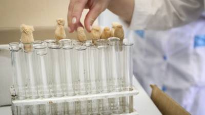 Китайские врачи освоили новый метод забора мазка на коронавирус - newinform.com - Китай