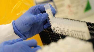 Роберт Кох - В ФРГ за сутки выявили более 17,5 тысячи случаев коронавируса - russian.rt.com - Бразилия