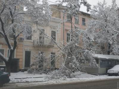 Упало 500 деревьев, пострадали почти 60 человек, на помощь подняли военных: впечатляющие кадры обледенения Одессы - narodna-pravda.ua - Украина - Одесса - Одесская обл.